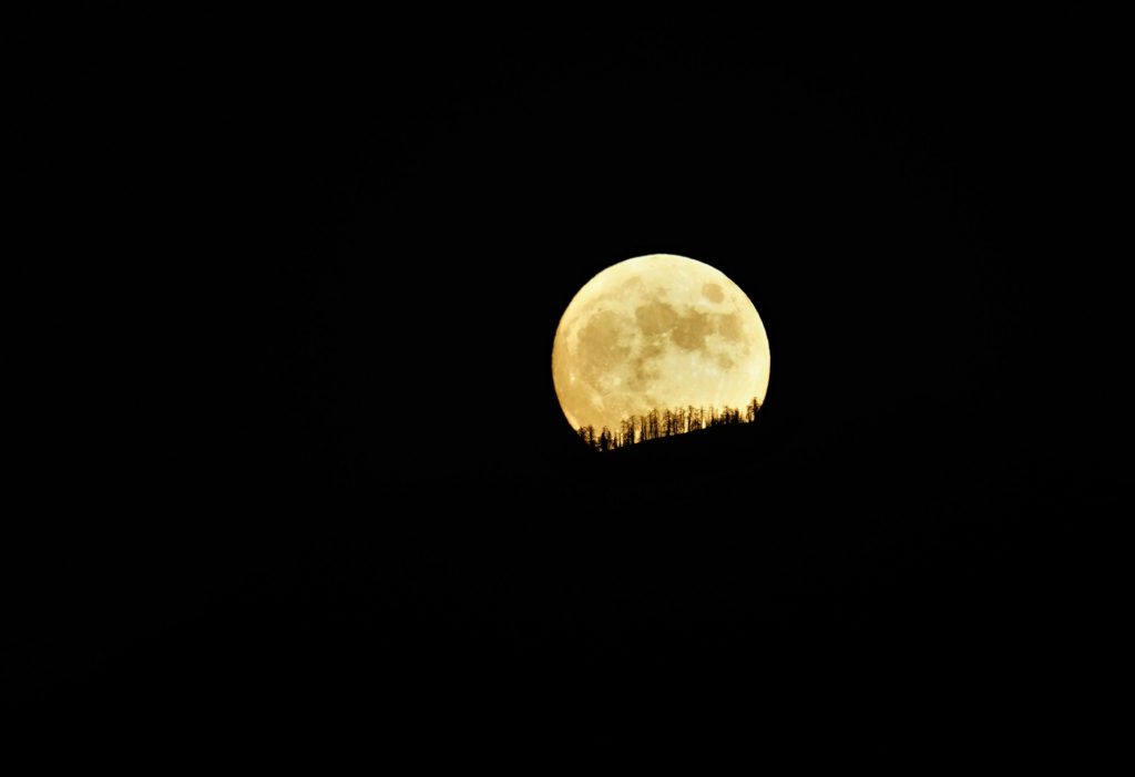 A stunning full moon illuminates the night sky, creating a silhouette of trees against its bright glow.