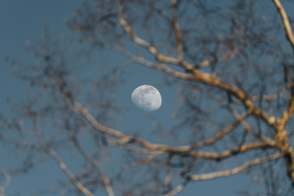 Captivating view of the crescent moon framed by bare tree branches on a cold winter day.